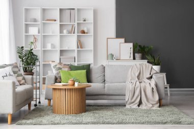 Kareli kanepeler, yastıklar, sehpa ve raflar oturma odasında.