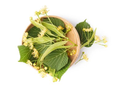 Taze ıhlamur çiçekli ahşap kase ve beyaz arka planda yapraklar.