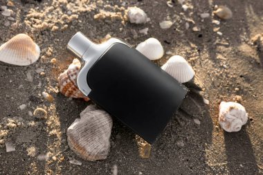 Siyah parfüm şişesi ve kumsalda deniz kabukları.