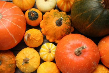 Farklı taze balkabaklarının dokusu, yakın plan.