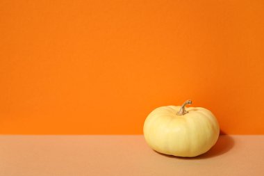 Turuncu zemin üzerine taze kabak
