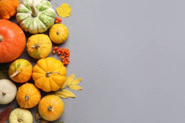 Gri arkaplanda farklı olgun balkabakları ve kızılcık üzümleri olan kompozisyon