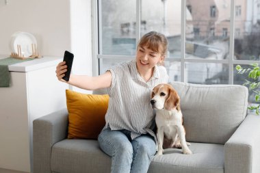 Tatlı av köpeği olan genç bir kadın evde selfie çekiyor.
