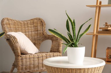 Hasır koltuklu, sehpalı ve çiçekli şık bir oturma odası.