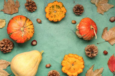 Yeşil zemin üzerinde kozalaklı, meşe palamudu ve sonbahar yapraklı taze balkabaklarından yapılmış çerçeve