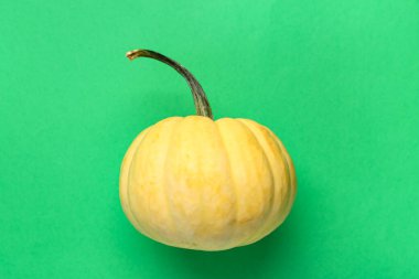 Yeşil arka planda taze balkabağı