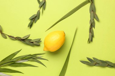 Dört tür (lulav, hadas, arava, etrog) yeşil arka planda Sukkot festival sembolleri olarak