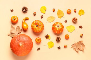 Bej arka planda olgun balkabakları, baharatlar ve düşmüş yapraklarla sonbahar kompozisyonu