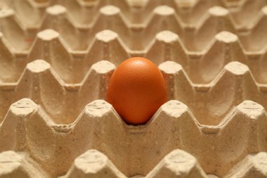Karton kutuda tavuk yumurtası, yakın plan.