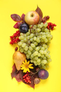 Sarı arka planda farklı taze meyveler