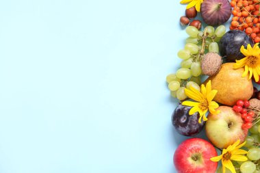 Farklı taze meyve ve fındıklar mavi arka planda