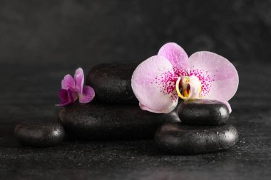 Koyu arkaplanda spa taşları ve orkide çiçekleri