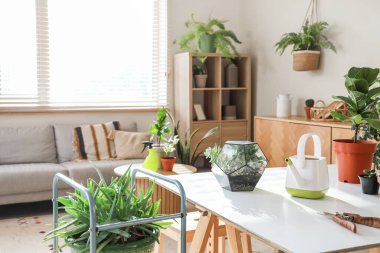 Odada sulama tenekesi olan Floraryum