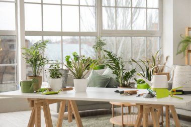 Oturma odasındaki masada bitki ve bahçe aletleri var.