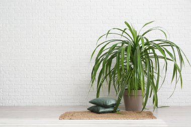 Döşekler ve halılar beyaz tuğlalarla kaplı zeminde.