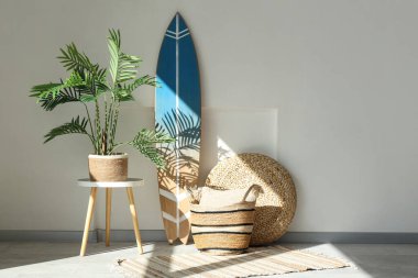 Beyaz duvarın yanında sörf tahtası ve bitkisi olan modern tarz bir oda.