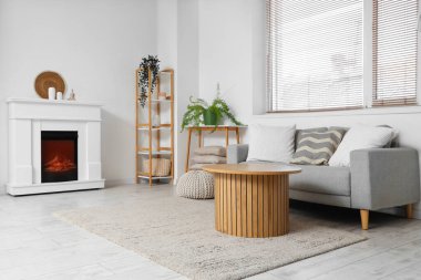 Gri kanepesi, şöminesi, kahve masası ve halısı olan aydınlık oturma odasının içinde.