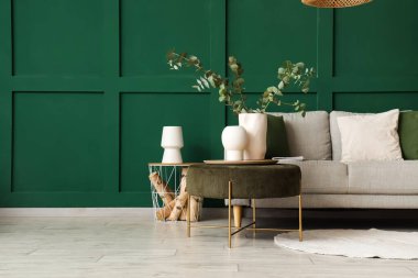 Rahat bir kanepe ve okaliptüs vazosu şık oturma odasındaki sehpanın üzerinde.