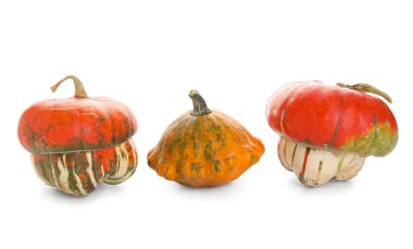 Beyaz arkaplanda farklı taze balkabakları