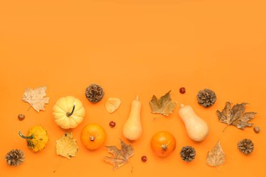 Turuncu arka planda taze kabak, kestane ve sonbahar yaprakları