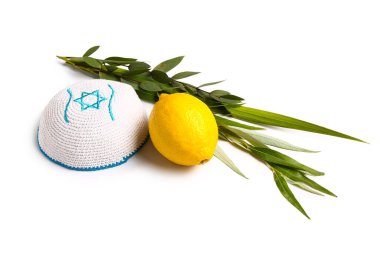 Beyaz arka planda dört tür (lulav, hadas, arava, etrog) Sukkot festival sembolleri ve kippah