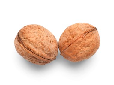 beyaz zemin üzerine bütün ceviz