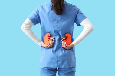 Mavi arka planda kağıt böbrekli kadın doktor.