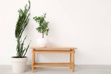 Büyük kaktüs ve çiçekli masa beyaz duvarın yanında.