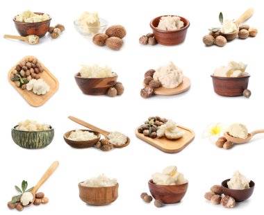 Beyaz üzerine izole edilmiş Shea yağı seti