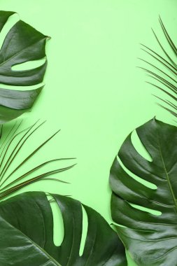 Farklı tropikal yaprak yeşil zemin üzerine