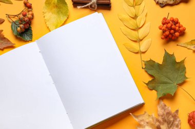Renk arkaplanı üzerinde boş kitap ve doğal orman dekoruna sahip kompozisyon, yakın plan