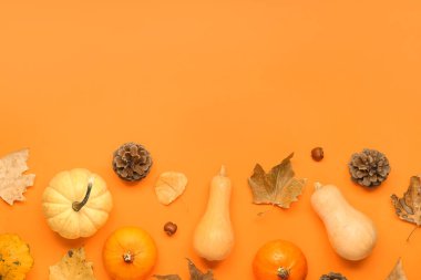 Turuncu arka planda taze kabak, kestane ve sonbahar yaprakları