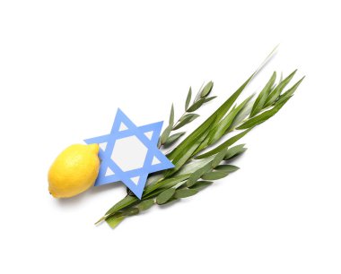 Dört tür (lulav, hadas, arava, etrog) beyaz arkaplan üzerinde kağıt David yıldızı olan Sukkot festivali sembolleri