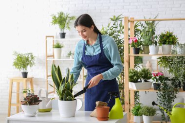 Güzel, genç, mutlu kadın bahçıvan evdeki bitkilerle toprağı tencereye koyuyor.