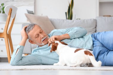Evde yerde yatan sevimli Jack Russell teriyeri olan olgun bir adam.