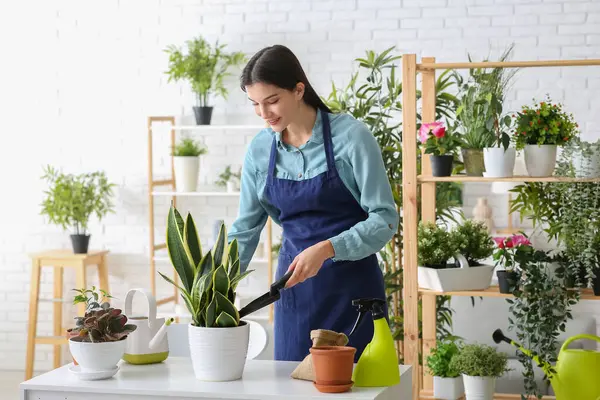 Güzel, genç, mutlu kadın bahçıvan evdeki bitkilerle toprağı tencereye koyuyor.