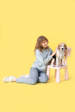 Sarı arka planda, sandalyede sevimli av köpeği olan genç bir kadın.