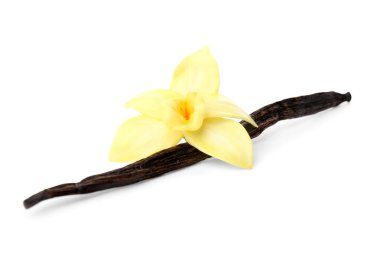 Beyaz arka planı olan güzel bir vanilya çiçeği