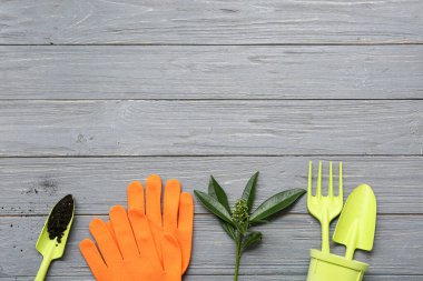 Bahçe malzemeleri seti ve gri ahşap arka planda bitki. Üst görünüm