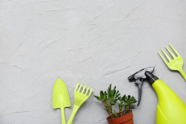 Turba tenceresine bitki, gri arka planda bahçe aletleri. Üst görünüm