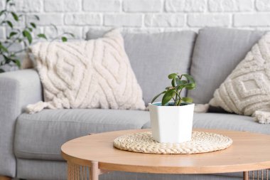 Rahat kanepesi, yastıkları ve çiçekli kahve masası olan şık bir oturma odası.