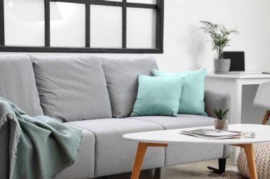 Kanepesi, yastıkları ve kahve masası olan şık bir oturma odası.