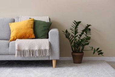 Rahat kanepesi, çiçekleri, ekose ve yastıkları olan beyaz oturma odası.