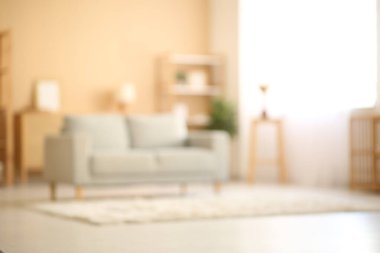 Oturma odasının içi kanepeyle bulanık.