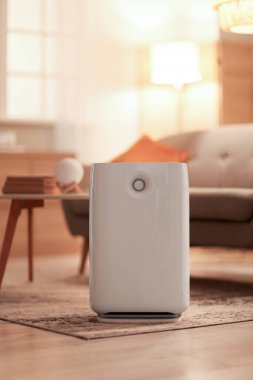 Oturma odasındaki sehpanın yanında şık bir kanepe ve nemlendirici.