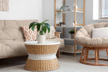 Rahat kanepesi, sehpası, çiçekleri, koltuğu ve resimleri olan modern oturma odası.