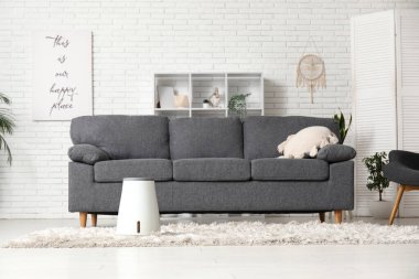 Koltuğu, halısı ve modern nemlendiricisi olan şık bir oturma odası.