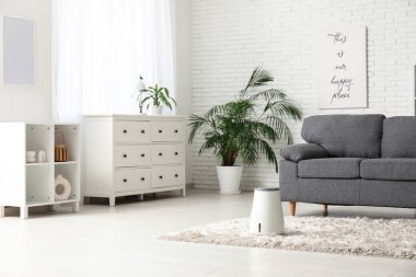 Koltuğu, halısı ve modern nemlendiricisi olan şık bir oturma odası.