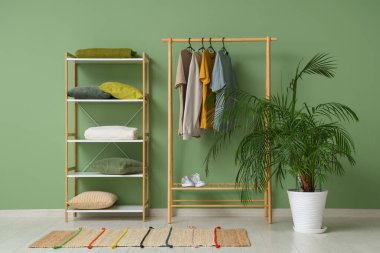 Elbise askısı, raf ünitesi ve saksısı olan şık bir oda.