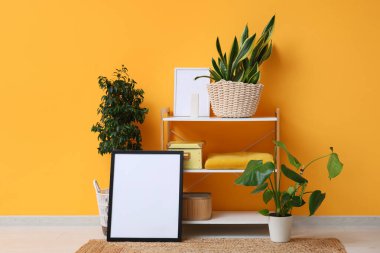 Resim çerçeveli oda, ev bitkisi ve raf ünitesi